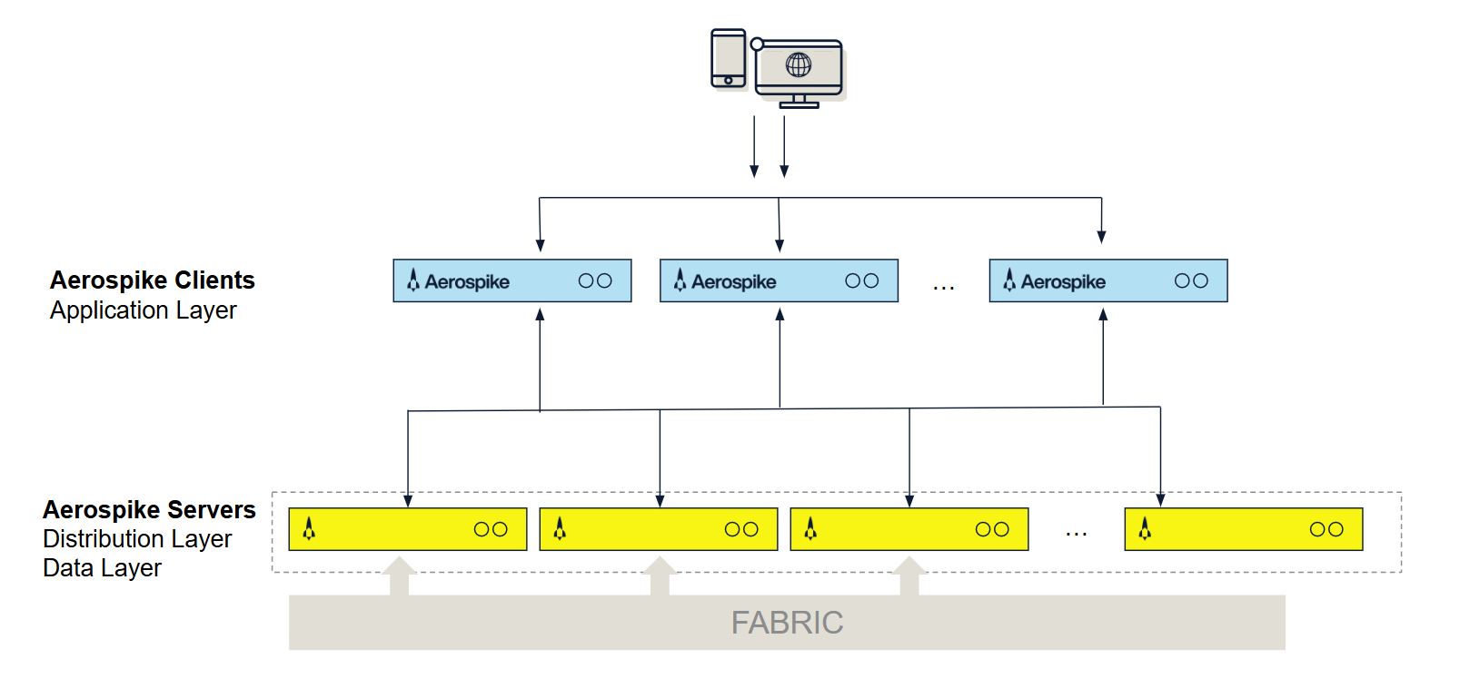 Aerospike architecture